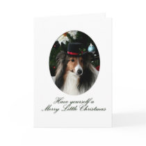 Merry Little Sheltie cards