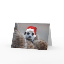 Merry Meerkat Christmas - Seasons greetings 2 cards