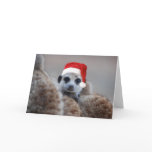 Merry Meerkat Christmas - Seasons greetings 2 cards