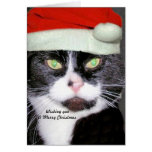 Merry Meowmus Card