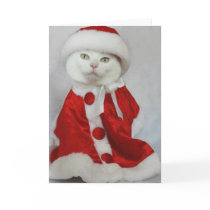 Merry Missy Greeting Card
