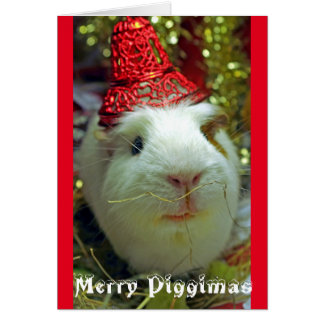 Funny Pig Christmas Cards | Zazzle