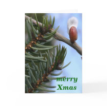 merry Xmas cards