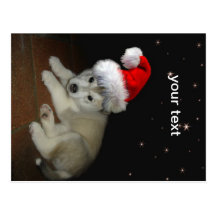 Merry Xmas Puppy Post Cards