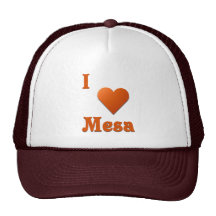 Mesa -- Burnt Orange Mesh Hat