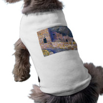 Mesa Verde, Colorado Fine Art pet clothing