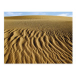 Mesquite Dunes, Death Valley National Park, Post Cards