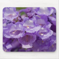 Mesquite Flower mousepads by mlane53 Mesquite Flower mousepads