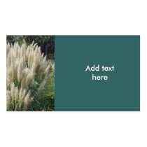 Message Card business cards by allmyphotos Message Card business cards