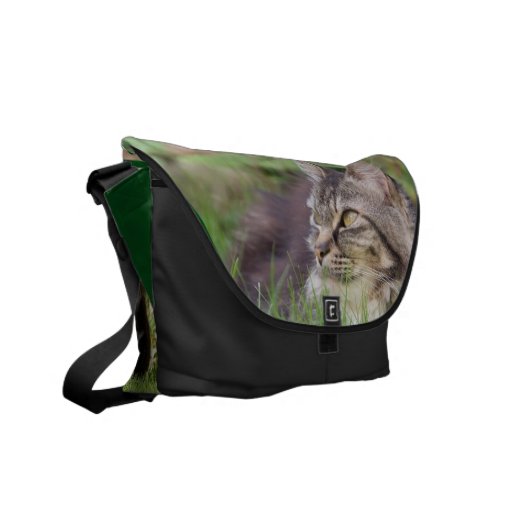 Messenger Bag - Cat - 01