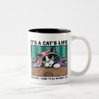 Messy Drawers - It's A Cat's Life Mug mug