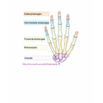 "Metacarpals Medic" T-shirts