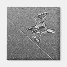 Metal Bird Fridge Magnets