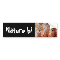 metal eyes rust bumper stickers