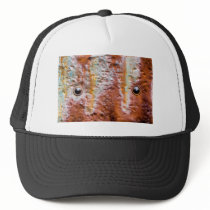 metal eyes rust hats