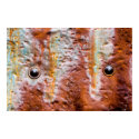 metal eyes rust posters