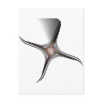 Metal Starfish postcards