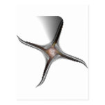 Metal Starfish Postcard