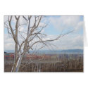 metal tree cards by SeattleImagery metal tree cards