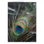 Metallic peacock feather wedding card