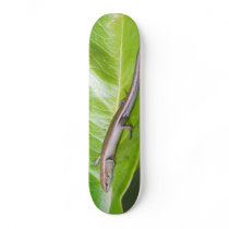 Metallic Cool Skink Niveoscincus Metallicus Skateboard Decks