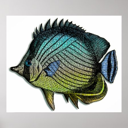 Metallic Striped Tropical Butterfly Fish print