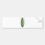 Metallic Wood-Boring Beetle Bumper Stickers
