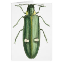 Metallic Wood-Boring Beetle Greeting Card
