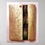 Metamorphasis/Poster