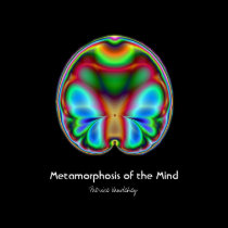 Metamorphosis of The Mind Art Print posters