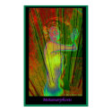 Metamorphosis posters