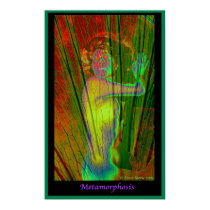 Metamorphosis posters