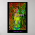 Metamorphosis Poster