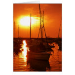 meteor like sun greeting cards
