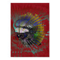 Meteor posters by Sweptwings Meteor posters