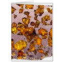 Meteorite Brahin pallasite - 2  cards