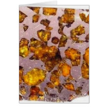 Meteorite Brahin pallasite - 2 cards by wwwsikhote Meteorite Brahin pallasite - 2 cards