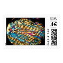 Meteorite Ghubara. Thin section. Chondrite. postage