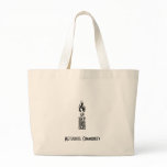 Meteorite hunting bag