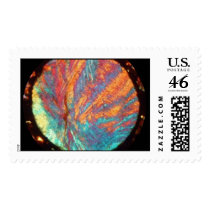 Meteorite SAU 001 thin section Postage Stamp