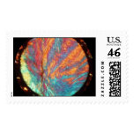 Meteorite SAU 001 thin section Postage Stamp