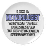 Meteorologist Joke ... Superior Intelligence Dinner Plate