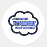 Meteorologist .. Livin' The Dream Round Stickers
