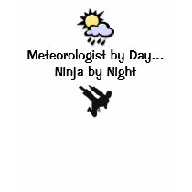 Meteorologist Ninja t-shirts