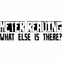Meter Reading What Else Is There? photo sculptures