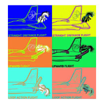 Methoden des Fluges poster