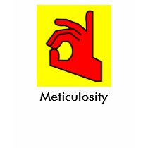 METICULOSITY SHIRT