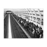 Metro B&amp;W Postcard