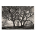 Metropolitan Shadows ATC Card Business Cards