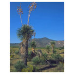 Mexican And South American Desert Custom Flyer